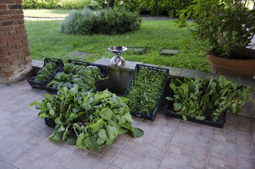 Cascina Foresto Bed and Breakfast Cossato Exteriör bild