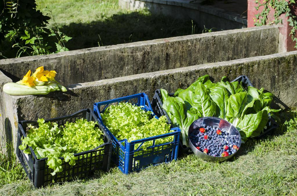 Cascina Foresto Bed and Breakfast Cossato Exteriör bild